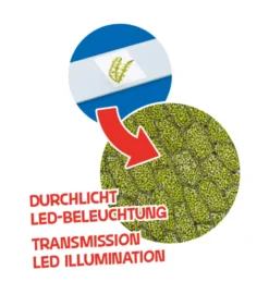 Barne mikroskop m. LED, 40x-640x - Inkl tilbehør