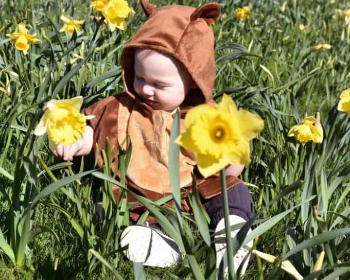 Bjørn, str. 1-4 år