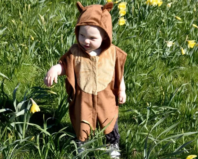 Bjørn, str. 1-4 år