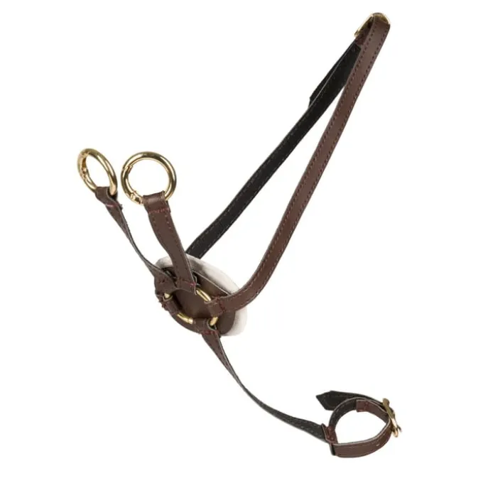 Cheval Roi tilbehør - Martingal, Brun/gull