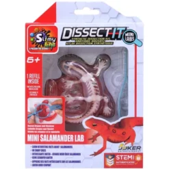 Disseker en salamander