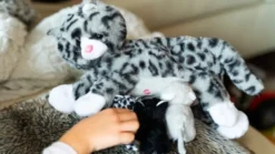 Familiebamse – Kattemor med kattunger