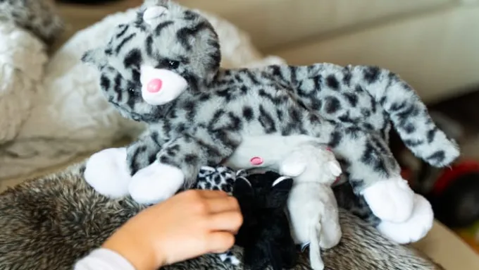 Familiebamse – Kattemor med kattunger