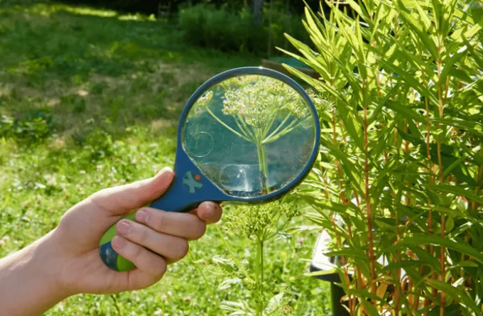 Forstørrelsesglass Ø 9,5 cm