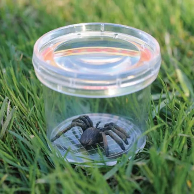 Insektsglass - lupe i lokket