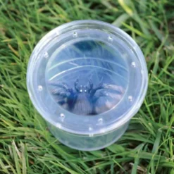 Insektsglass - lupe i lokket