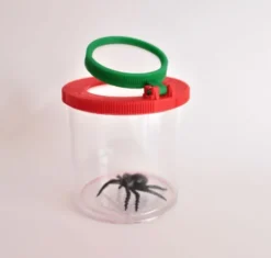 Insektsglass med forstørrelsesglass, Ø 6 cm.