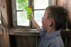 Insektsuger