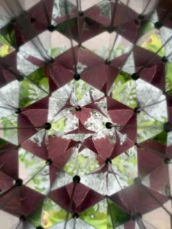 Kaleidoskop til naturens skatter