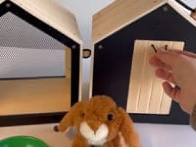 Kaninbur med løpegård