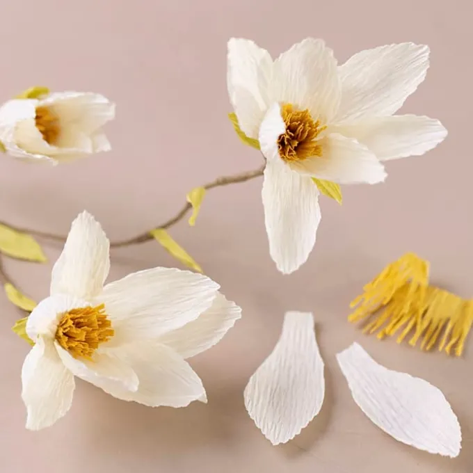 Kreppapir mini - Magnoliagren
