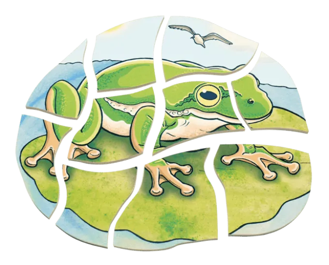 Lag puslespill - Froskens livssyklus