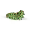 Larve - L: 4,5 cm