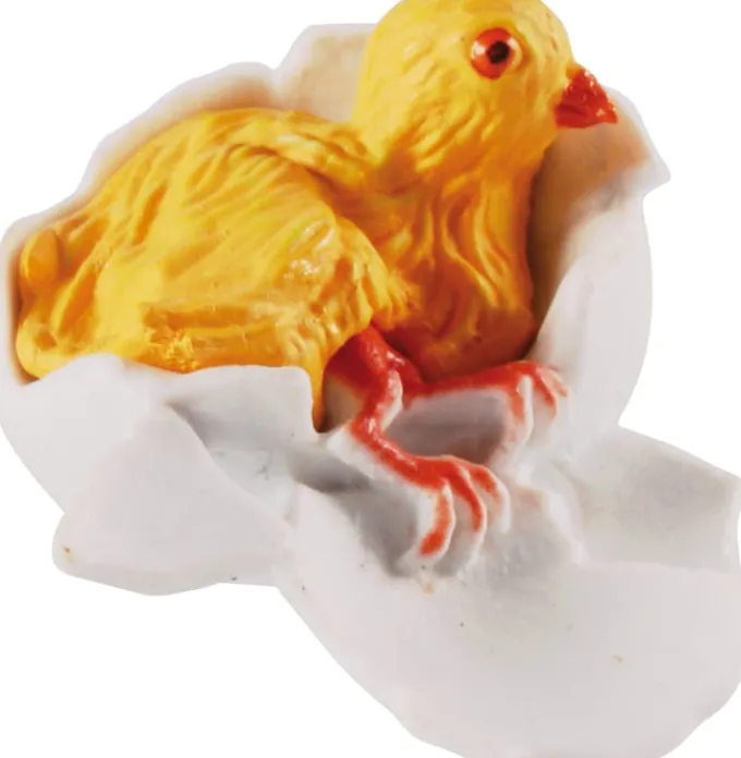 Livssyklus - Fra egg til høne