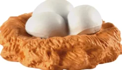 Livssyklus - Fra egg til høne