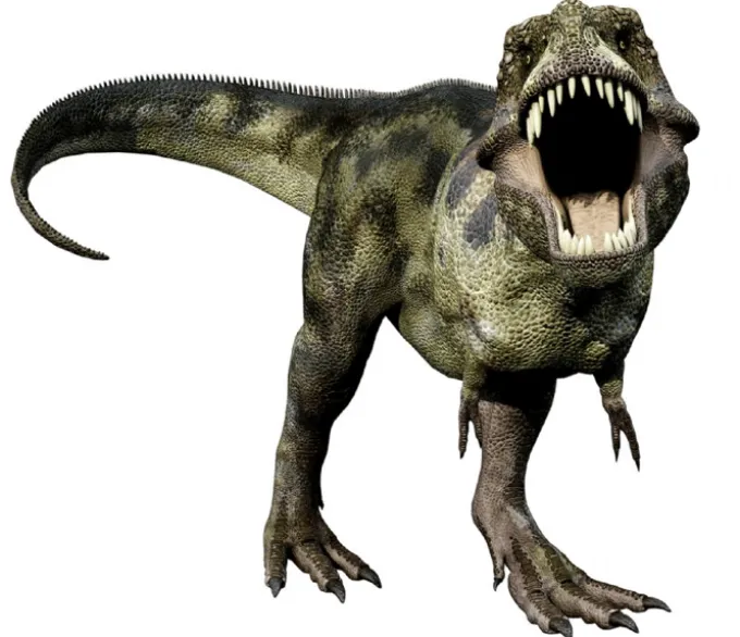 Lommelykt med dias - Dinosaurer