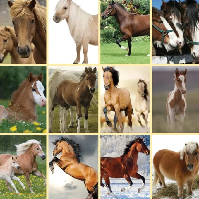 Lommelykt med dias - Hest