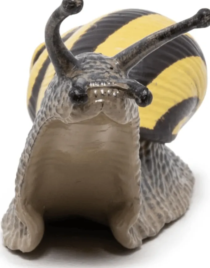 Lundsnegle - L: 6 cm