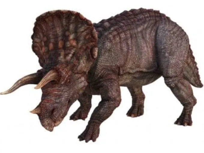 Lysbilder med dinosaur