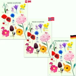 Plakat 50 x 70 cm - Fargene og blomstene