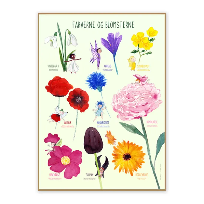 Plakat 50 x 70 cm - Fargene og blomstene