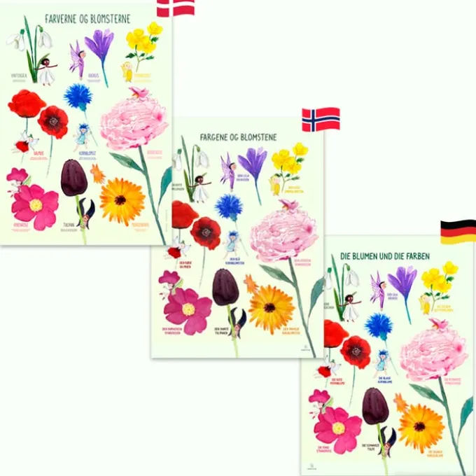 Plakat 50 x 70 cm - Fargene og blomstene