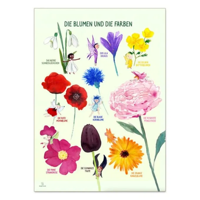 Plakat 50 x 70 cm - Fargene og blomstene