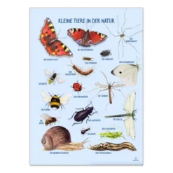 Plakat 50 x 70 cm - Smådyrene rundt deg