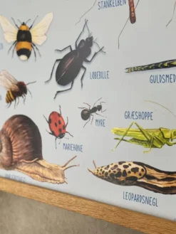 Plakat 50 x 70 cm - Smådyrene rundt deg