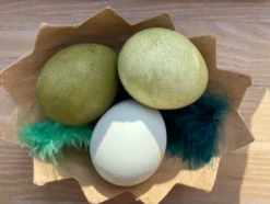 To-delte egg i kartong, 4 stk